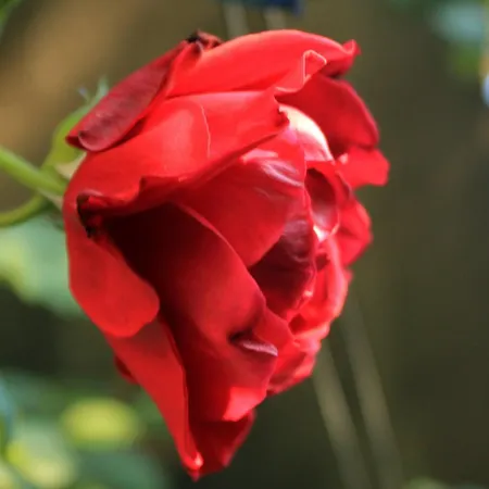 And By The Sea Slano, Dubrovnik - 2682 Gasthuis Slano