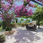 Гостевой дом Apartments And Rooms By The Sea Slano - Dubrovnik - 2682 Слано