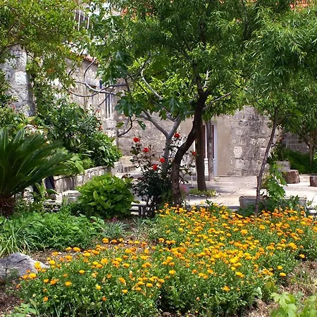 Gæstehus And By The Sea Slano, Dubrovnik - 2682 3*
