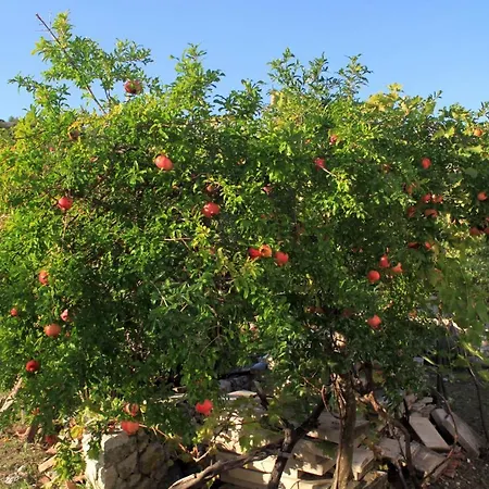 And By The Sea Slano, Dubrovnik - 2682 Gæstehus