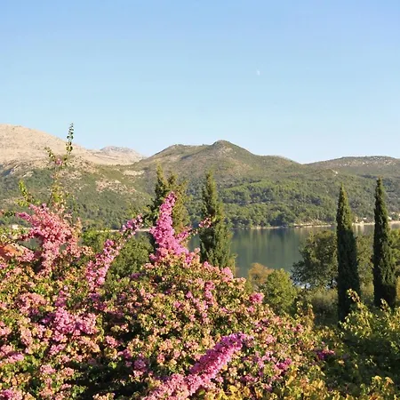 Apartments And Rooms By The Sea Slano, Dubrovnik - 2682 Guest house