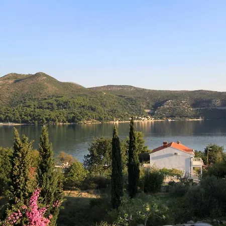 Apartments And Rooms By The Sea Slano, Dubrovnik - 2682 Гостевой дом 3*