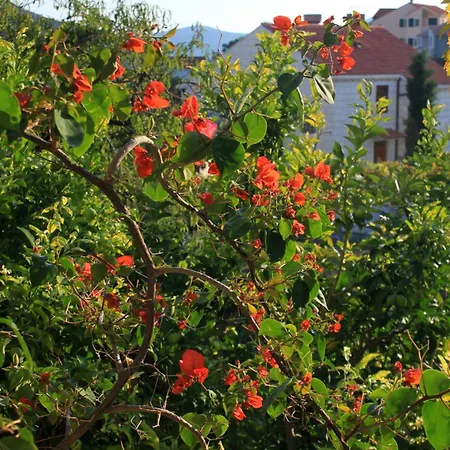 Гостевой дом Apartments And Rooms By The Sea Slano - Dubrovnik - 2682