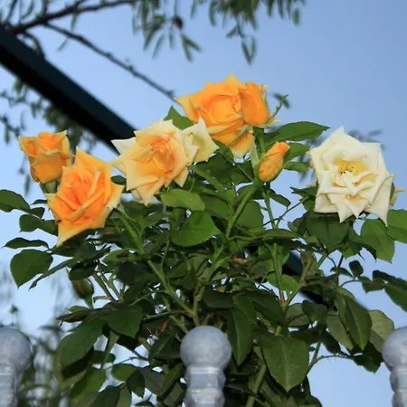 And By The Sea Slano, Dubrovnik - 2682 Gæstehus Slano